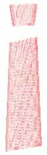 Hope Ribbon i Embroidery Design Sale