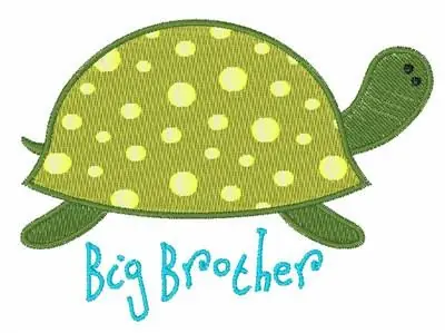 Big Brother Turtle Embroidery Design Price Cut