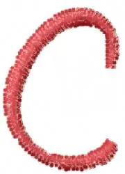 Love Curls Font C Embroidery Design Fast Shipping