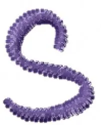 Love Curls Lowercase S Embroidery Design Latest