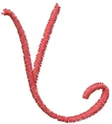 Love Curls Font V Embroidery Design Order Now