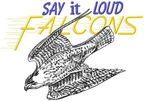 Say It Loud Falcons Embroidery Design Order Now