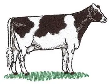 Buy Direct Holstein Embroidery Design