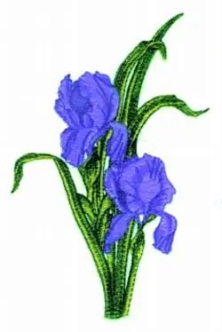 In Demand Double Iris Embroidery Design