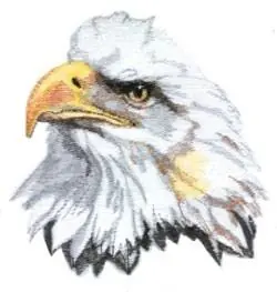 Buy Direct Eagle Head Embroidery Design
