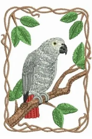 African Gray Parrot Embroidery Design Brand New