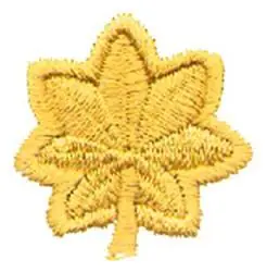 Modern Major Lieutenant Colonel Embroidery Design