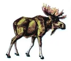 Final Sale Moose Embroidery Design