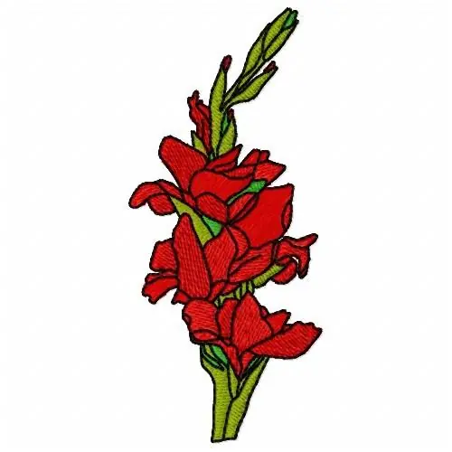 Instant Buy Gladiolus Flower Embroidery Design
