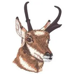Antelope Embroidery Design No Minimum Order