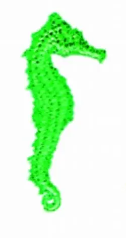 Sea Horse Embroidery Design Viral
