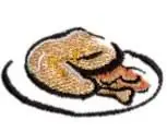 Chicken Plate Embroidery Design Time-Limited