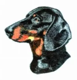 Dachshund Embroidery Design Low Price