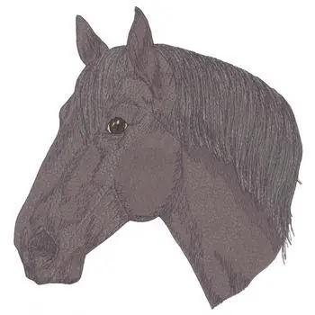 Percheron Embroidery Design Weekend Sale