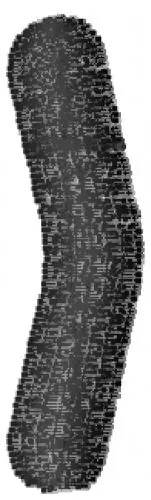 Abduct Font Right Parenthesis Embroidery Design Low Price