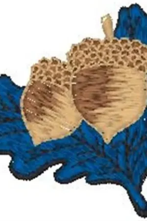 Acorns On Leaf Embroidery Design Direct From Manufacturer