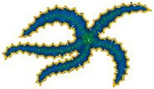 Sea Star Embroidery Design Price Drop
