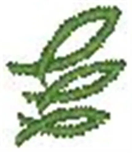 Swirls Embroidery Design Get Yours