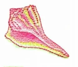 Shell Embroidery Design Direct From Factory