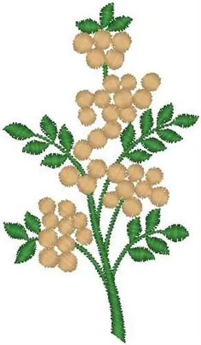 Handmade Blossom Branch Embroidery Design