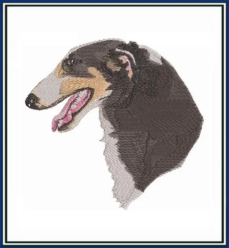 Warranty Included Borzoi Embroidery Design