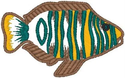 Tropical Fish Embroidery Design Price Cut
