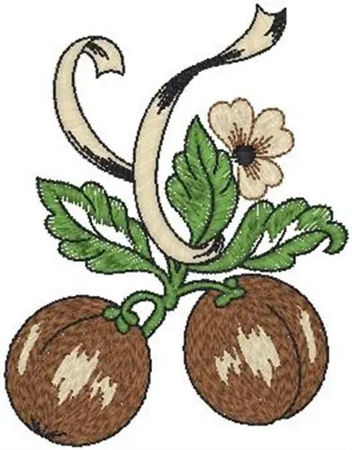 Express Delivery Coffee Beans Embroidery Design