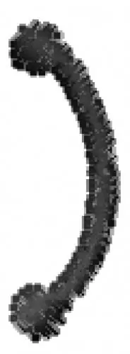 Buy Online Jck Parentheses Embroidery Design