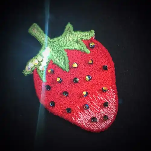 Editor’s Pick FSL Strawberry Embroidery Design