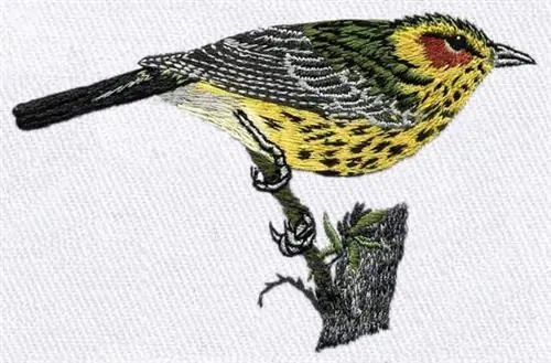 Cape May Warbler Embroidery Design Shop Now