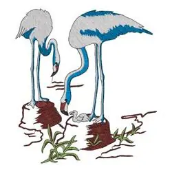 Big Sale Flamingos Embroidery Design