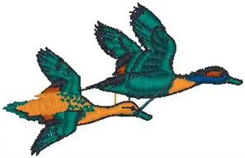 Wood Duck Pair Embroidery Design Trusted Brand