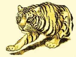 Tiger Embroidery Design Worldwide Shipping