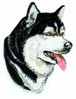 Direct From Factory Malamute Embroidery Design