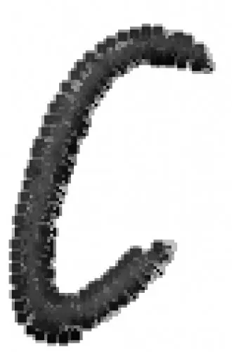 Scb Uppercase C Embroidery Design Express Delivery
