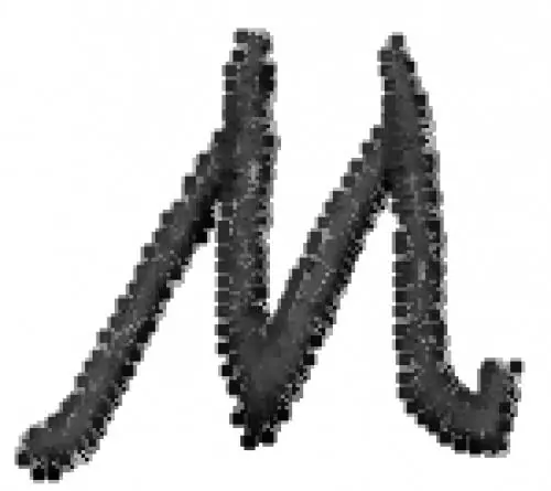 Place Order Scb Uppercase M Embroidery Design