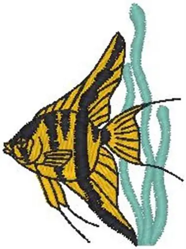 Warranty Included Angelfish Embroidery Design