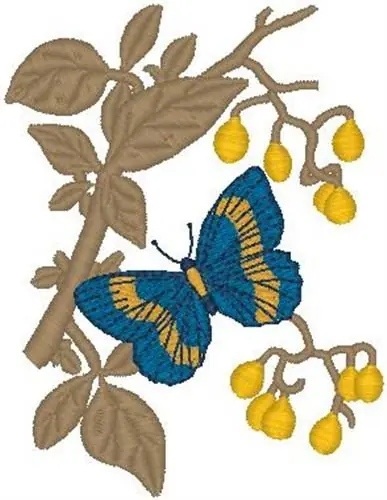 Super Sale Butterfly With Branch Embroidery Design